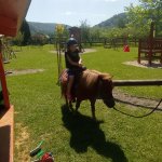 phoca_thumb_m_ponk 142 Fotogalerie